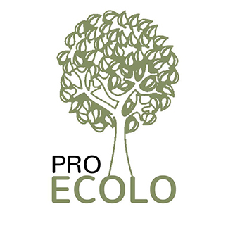 ProÉcolo rédaction web boutique en ligne